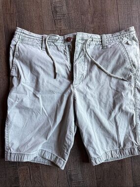Men's Hollister Button Front Shorts in Light Green 34